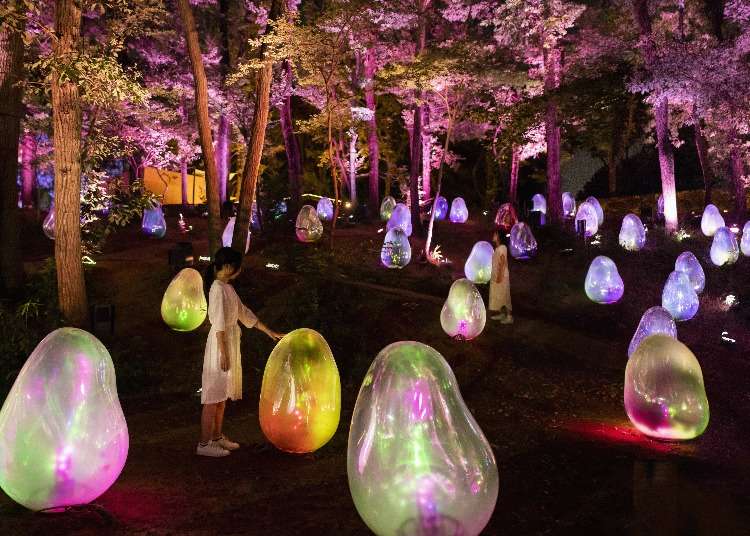 experience-teamlab-s-innovative-new-digitized-nature-outdoor