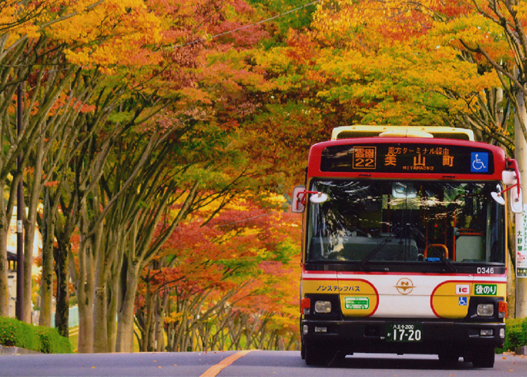 西東京バス株式会社 - LIVE JAPAN (日本の旅行・観光・体験ガイド)