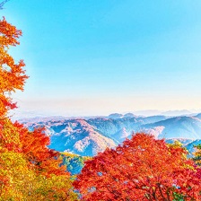 15 lý do nên đưa núi Takao – ngọn núi có nhiều du khách đến thăm nhất thế giới – vào danh sách điểm đến yêu thích của bạn: Sự hấp dẫn lạ kỳ