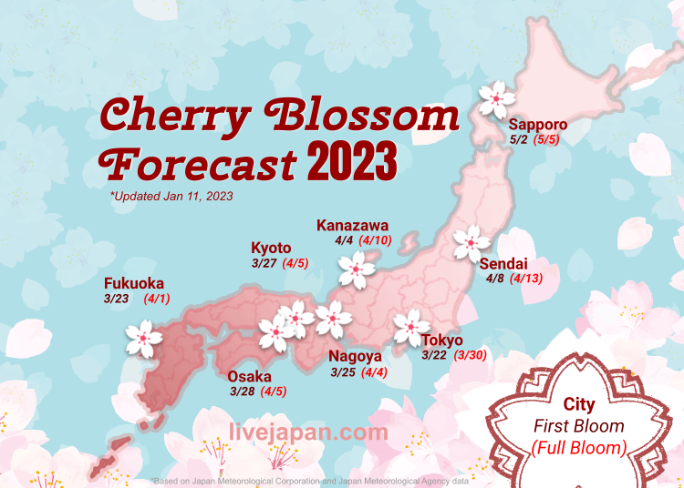 Japan Cherry Blossom Forecast: When & Where To See Sakura in Japan