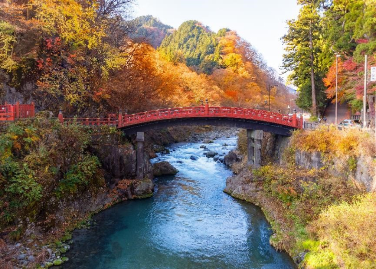 7 Autumn Day Trips From Tokyo