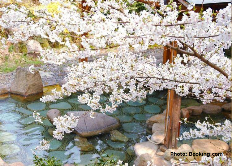 17 Onsen Ryokan in Japan With Gorgeous Cherry Blossom Views